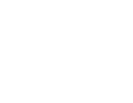 Custom Aventuras